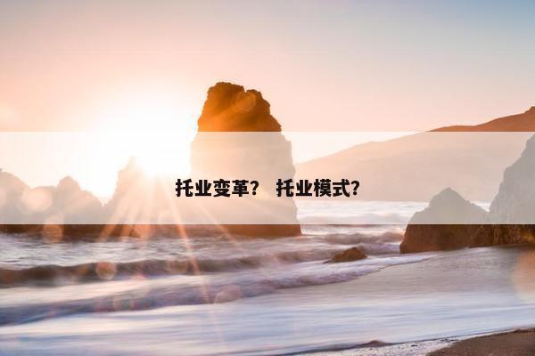 托业变革？ 托业模式？