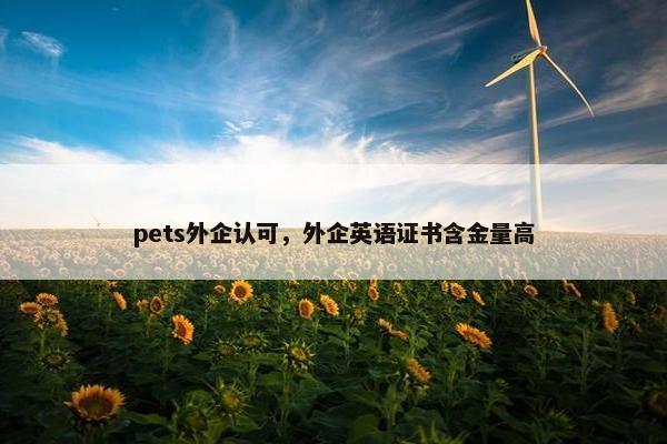 pets外企认可，外企英语证书含金量高