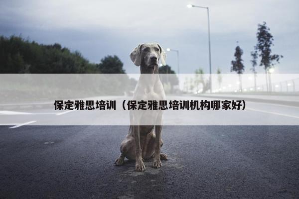 保定雅思培训（保定雅思培训机构哪家好）