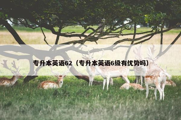 专升本英语62（专升本英语6级有优势吗）