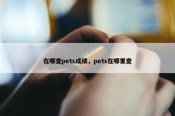 在哪查pets成绩，pets在哪里查