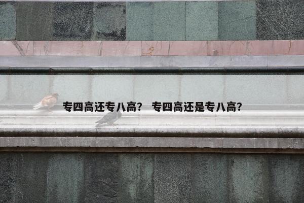 专四高还专八高？ 专四高还是专八高？