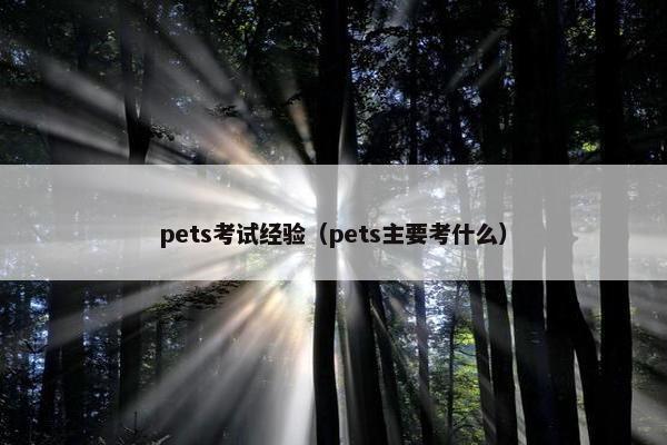 pets考试经验（pets主要考什么）