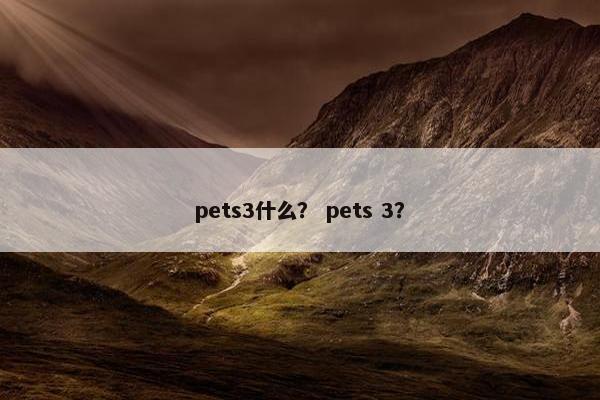 pets3什么？ pets 3？