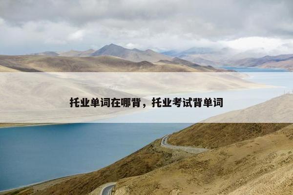 托业单词在哪背，托业考试背单词