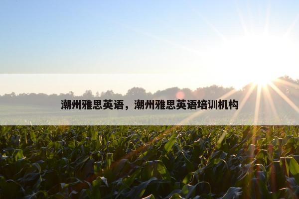 潮州雅思英语，潮州雅思英语培训机构