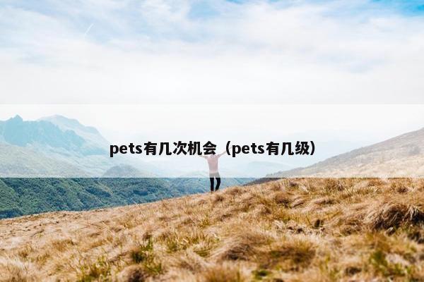 pets有几次机会（pets有几级）