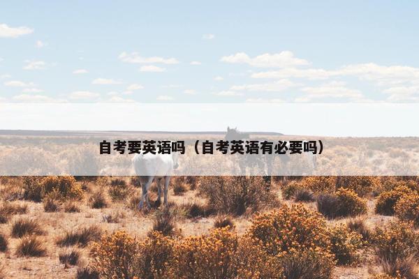自考要英语吗（自考英语有必要吗）