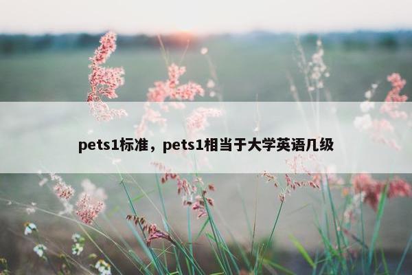 pets1标准，pets1相当于大学英语几级