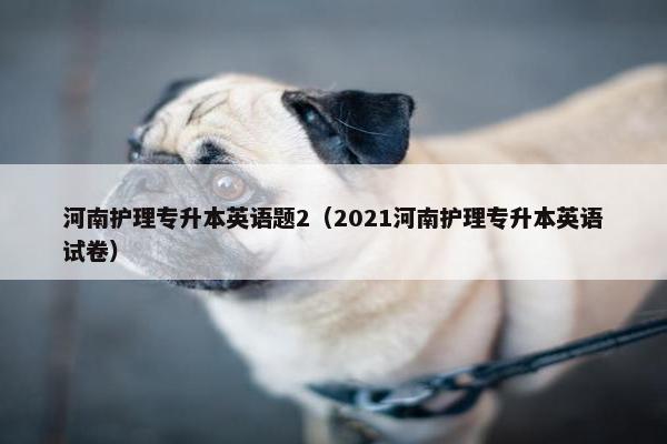 河南护理专升本英语题2（2021河南护理专升本英语试卷）