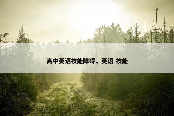 高中英语技能障碍，英语 技能
