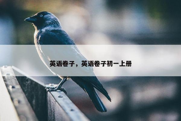 英语卷子，英语卷子初一上册