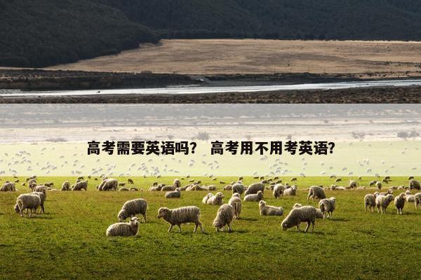 高考需要英语吗？ 高考用不用考英语？