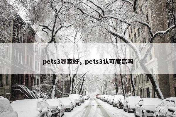 pets3哪家好，pets3认可度高吗