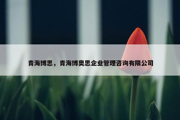 青海博思，青海博奥思企业管理咨询有限公司