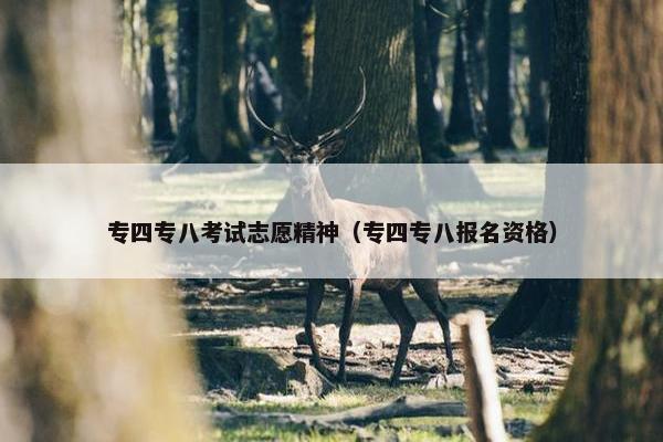 专四专八考试志愿精神（专四专八报名资格）