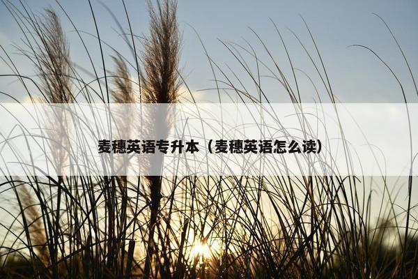麦穗英语专升本（麦穗英语怎么读）