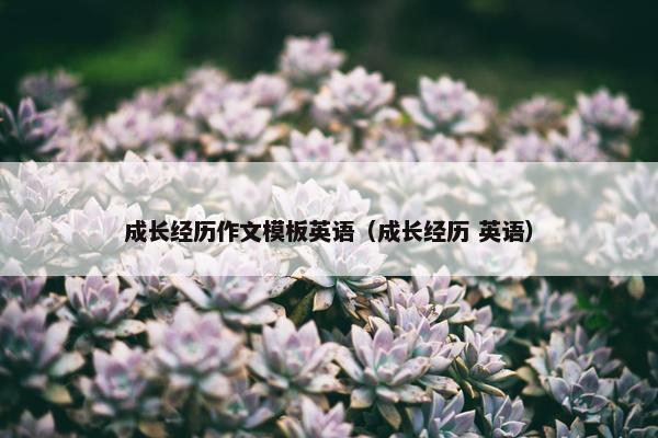 成长经历作文模板英语（成长经历 英语）