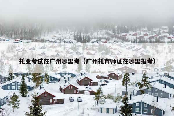 托业考试在广州哪里考（广州托育师证在哪里报考）