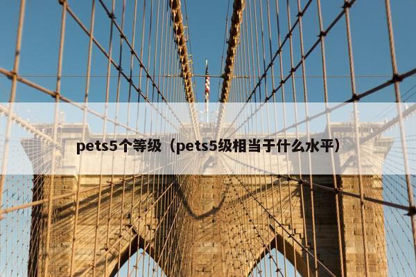 pets5个等级（pets5级相当于什么水平）
