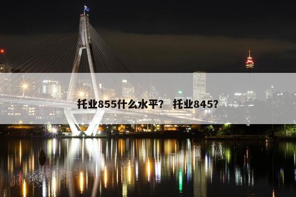托业855什么水平？ 托业845？