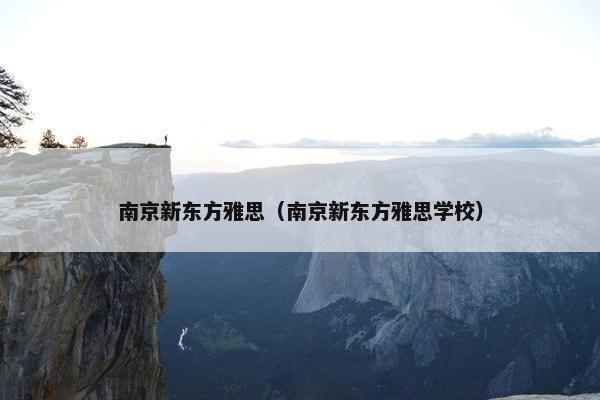 南京新东方雅思（南京新东方雅思学校）