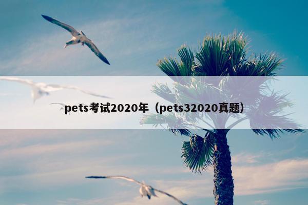 pets考试2020年（pets32020真题）