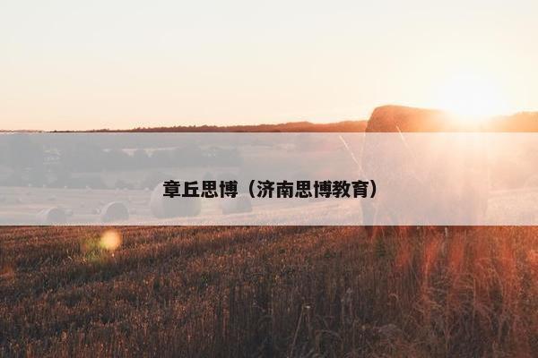 章丘思博（济南思博教育）