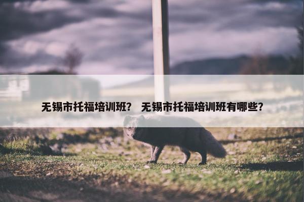 无锡市托福培训班？ 无锡市托福培训班有哪些？
