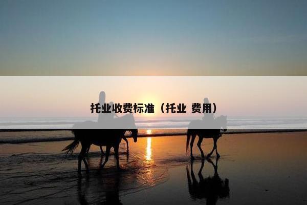 托业收费标准（托业 费用）