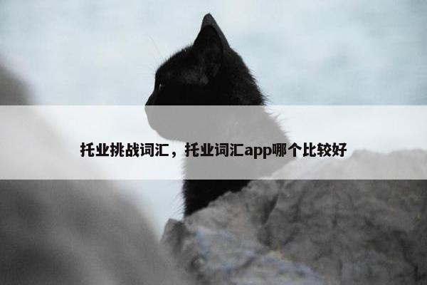 托业挑战词汇，托业词汇app哪个比较好