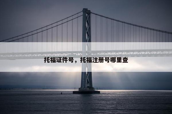托福证件号，托福注册号哪里查