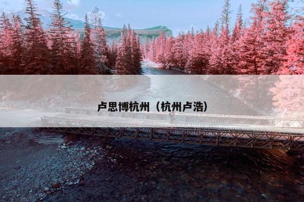 卢思博杭州（杭州卢浩）