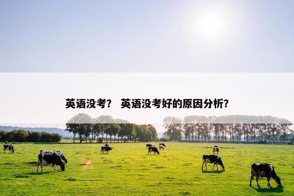 英语没考？ 英语没考好的原因分析？