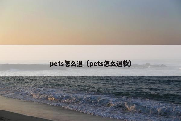 pets怎么退（pets怎么退款）