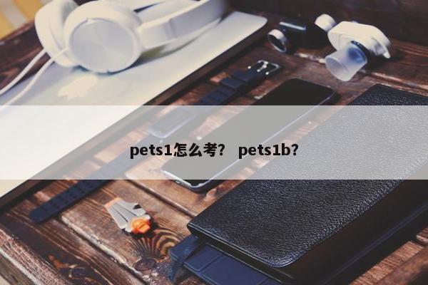 pets1怎么考？ pets1b？