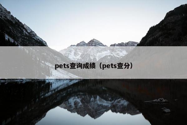 pets查询成绩（pets查分）