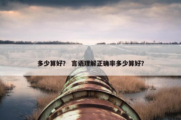多少算好？ 言语理解正确率多少算好？