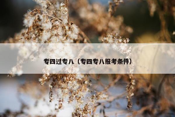 专四过专八（专四专八报考条件）