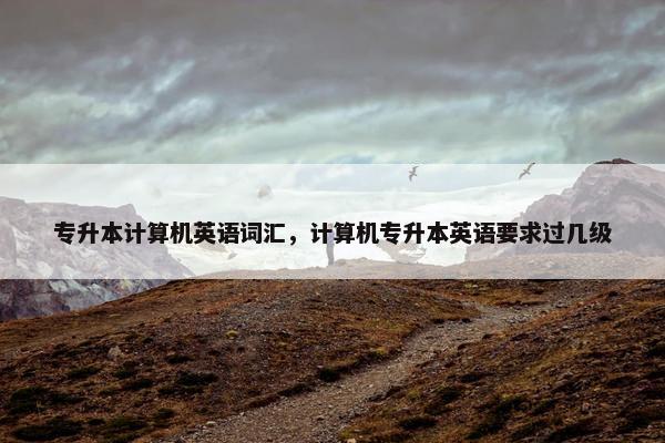 专升本计算机英语词汇，计算机专升本英语要求过几级