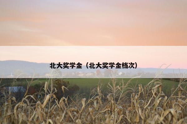 北大奖学金（北大奖学金档次）