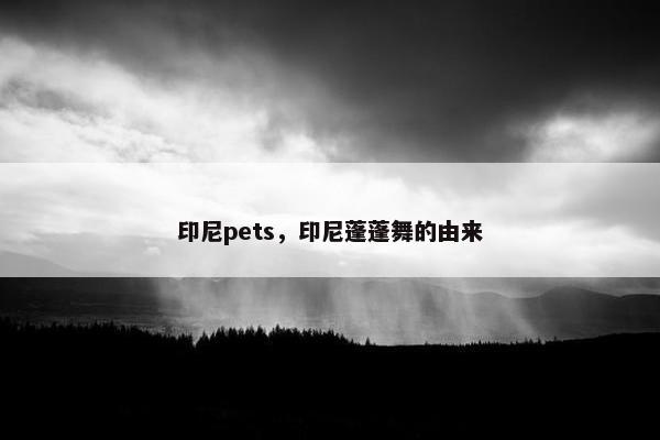 印尼pets，印尼蓬蓬舞的由来