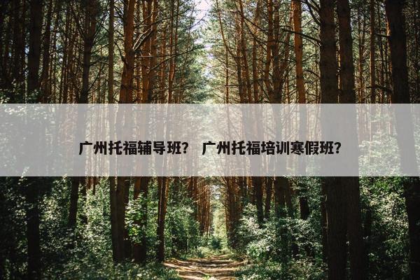 广州托福辅导班？ 广州托福培训寒假班？