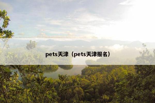 pets天津（pets天津报名）