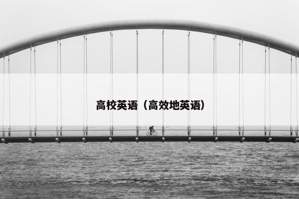 高校英语（高效地英语）