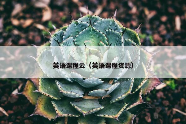 英语课程云（英语课程资源）