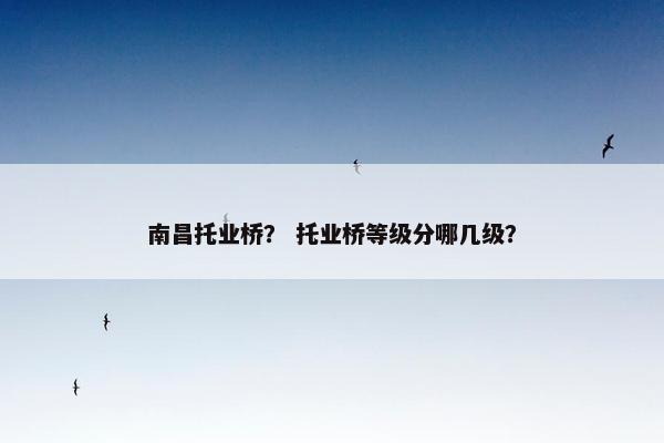 南昌托业桥？ 托业桥等级分哪几级？