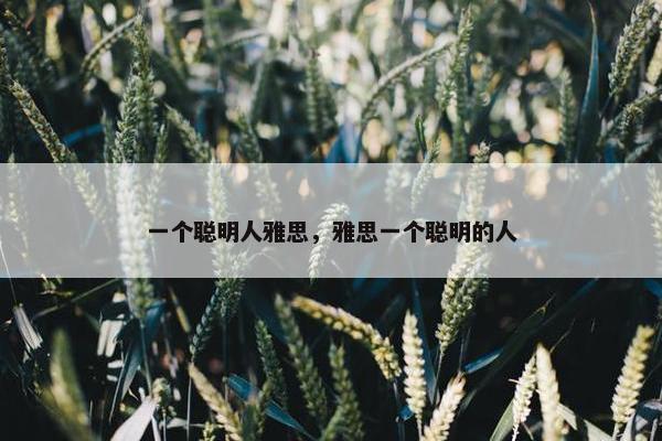 一个聪明人雅思，雅思一个聪明的人