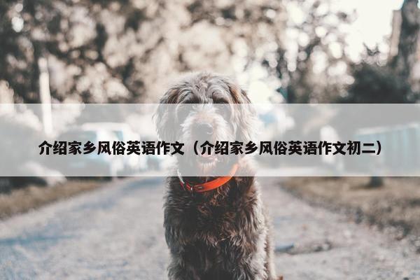 介绍家乡风俗英语作文（介绍家乡风俗英语作文初二）