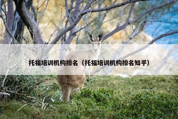 托福培训机构排名（托福培训机构排名知乎）